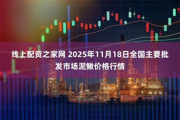 线上配资之家网 2025年11月18日全国主要批发市场泥鳅价格行情